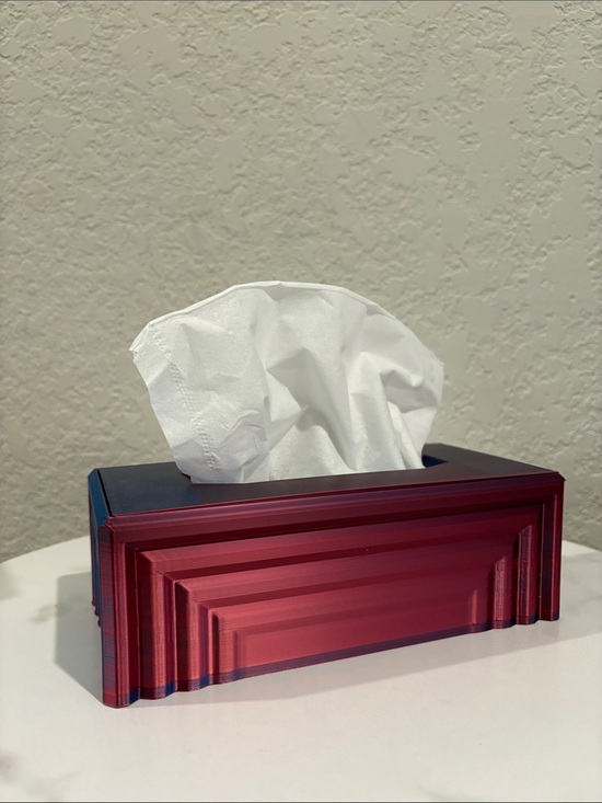 The Unbranded Brand Other - NWT Tissue Box Empty Cover